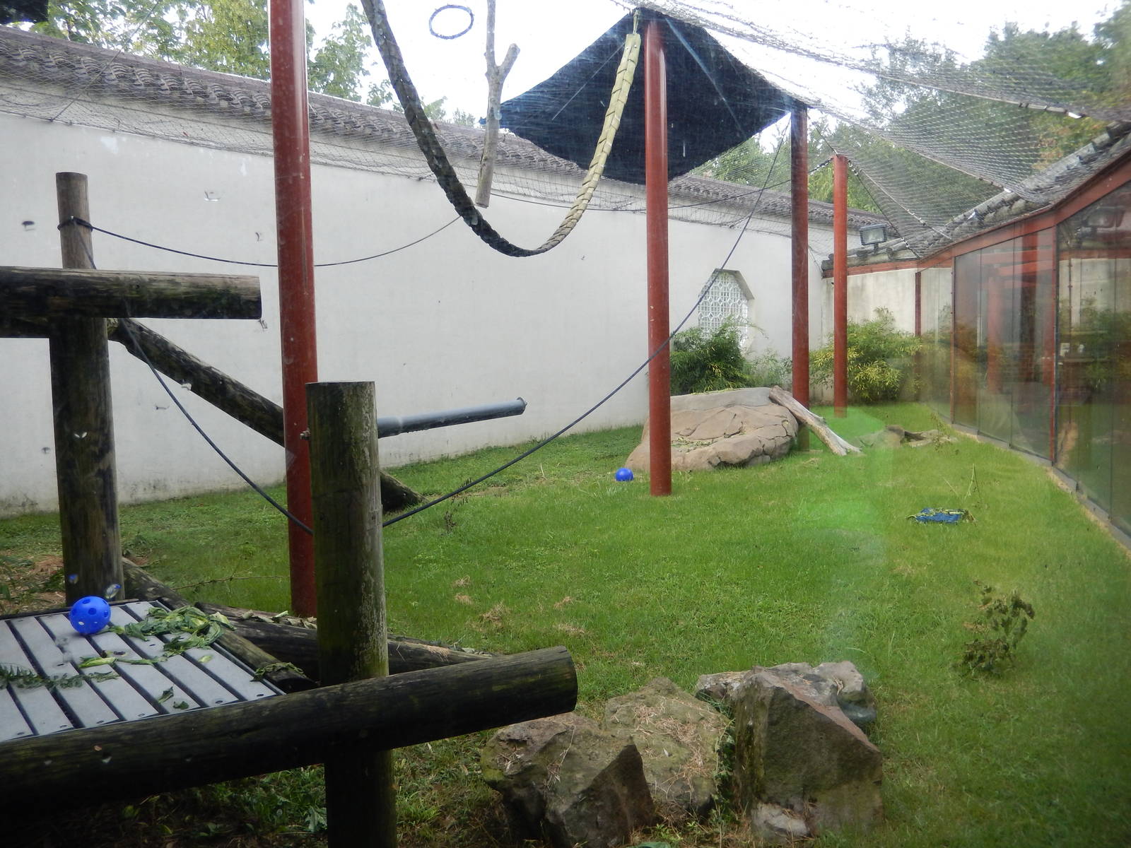 8/14/2016 - Francois Langur Exhibit