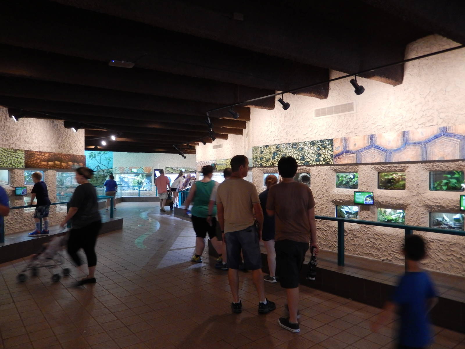 8/14/2016 - General View of the Herpetarium