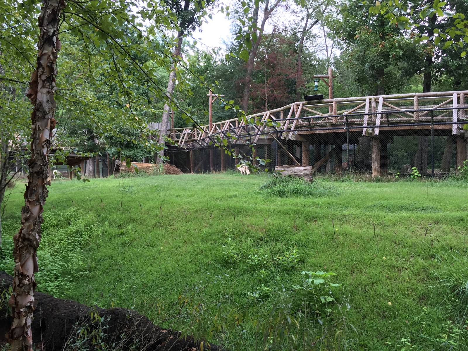 8/14/2016 - Gray Wolf Habitat