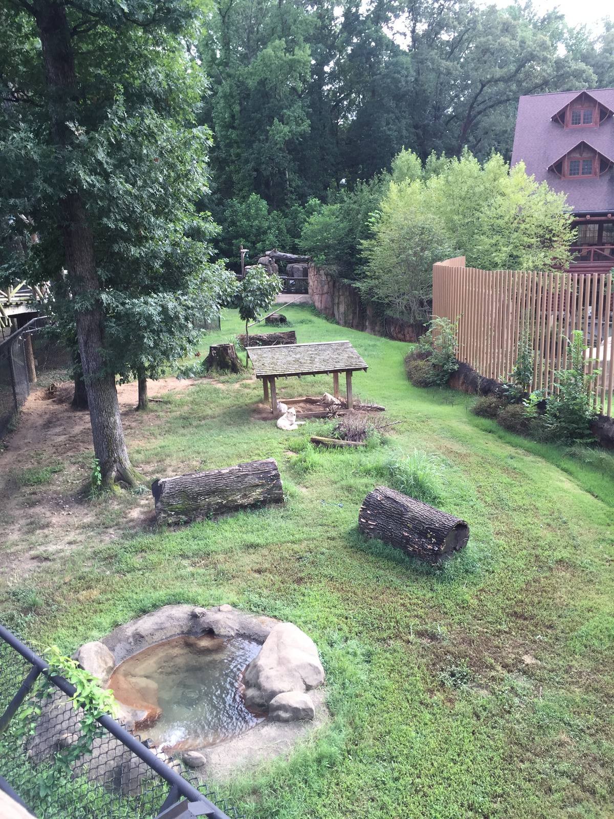 8/14/2016 - Gray Wolf Habitat