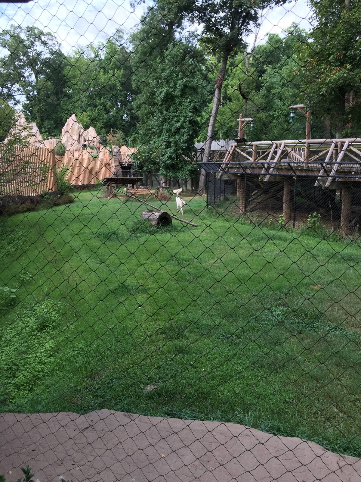 8/14/2016 - Gray Wolf Habitat