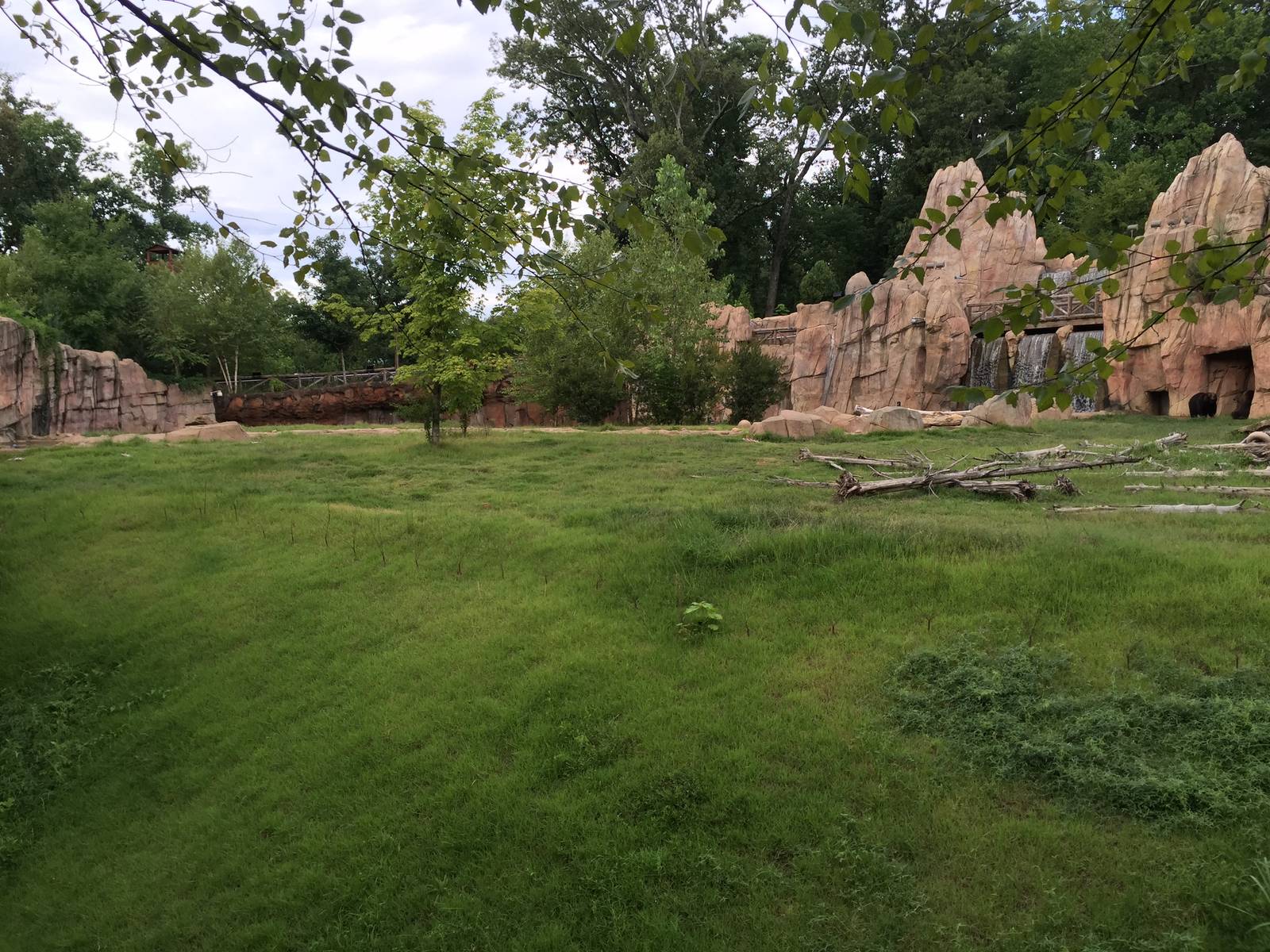 8/14/2016 - Grizzly Bear Habitat