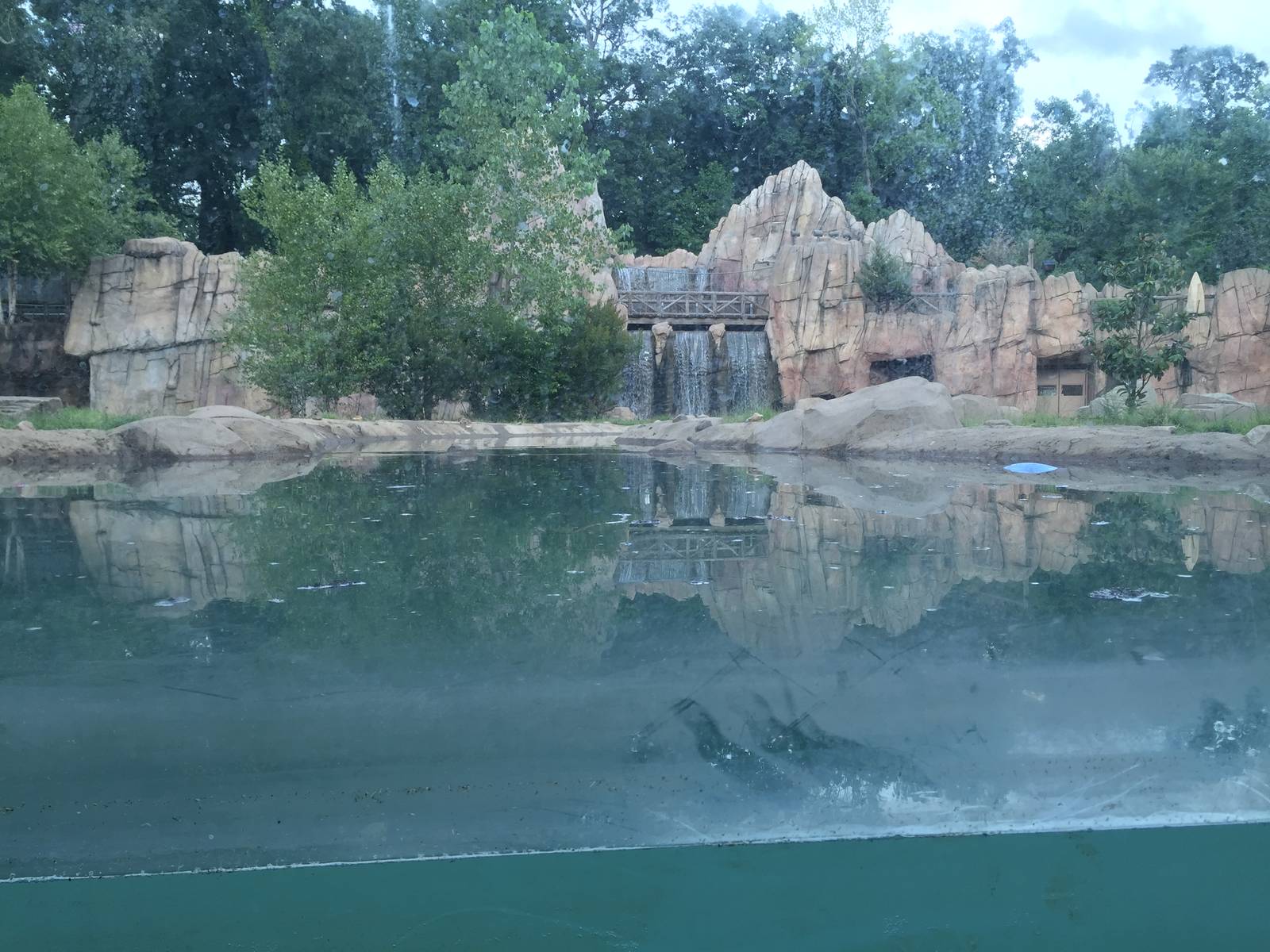 8/14/2016 - Grizzly Bear Habitat