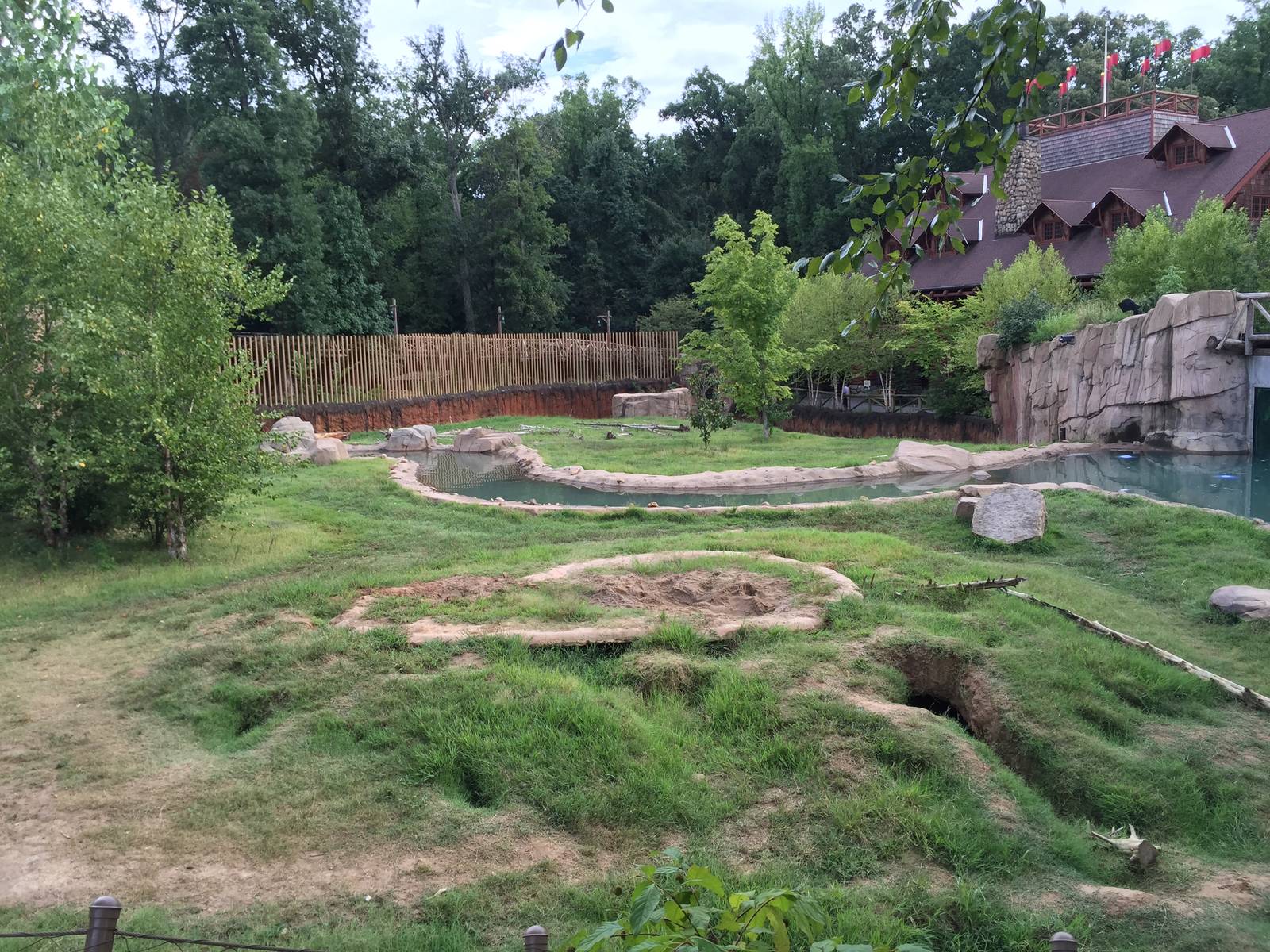 8/14/2016 - Grizzly Bear Habitat