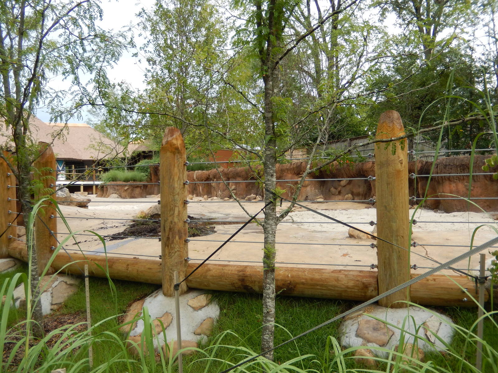 8/14/2016 - Nile Hippo Habitat Land Area