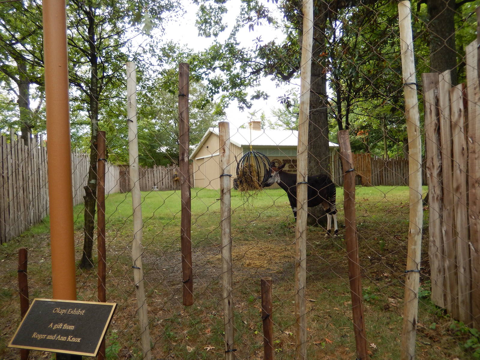 8/14/2016 - Okapi Exhibit