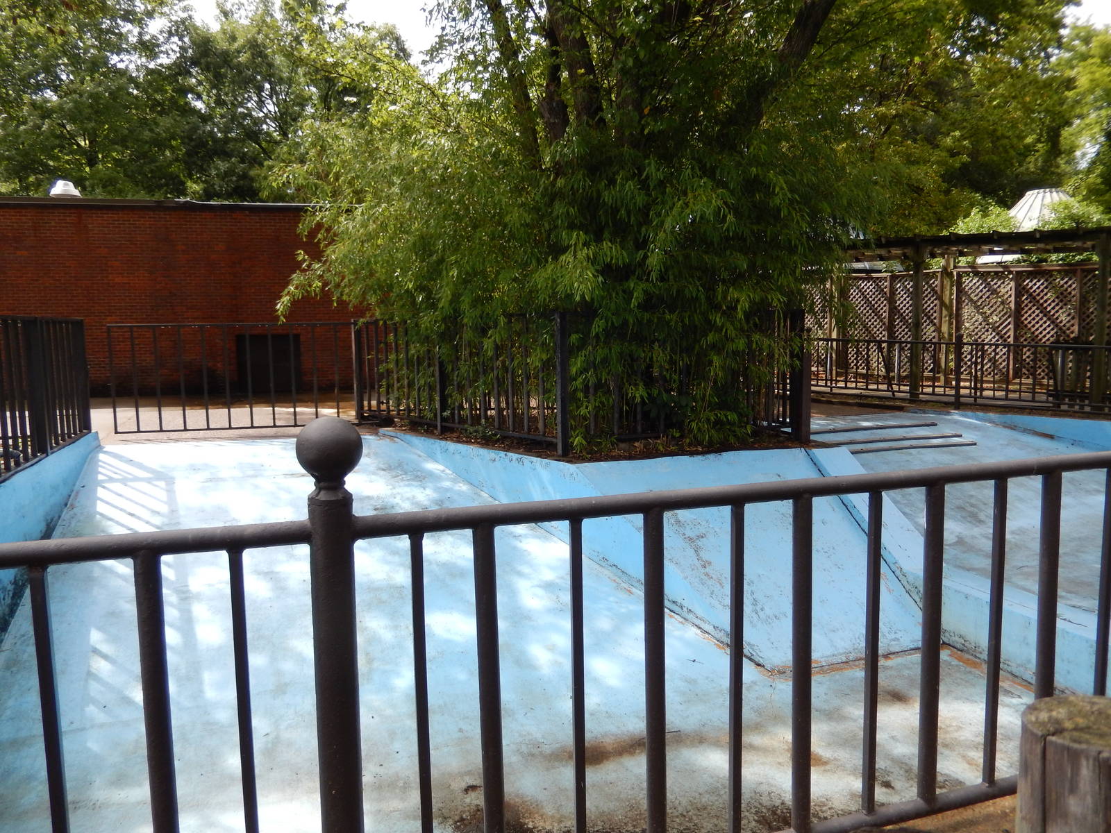 8/14/2016 - Old Hippo Pool