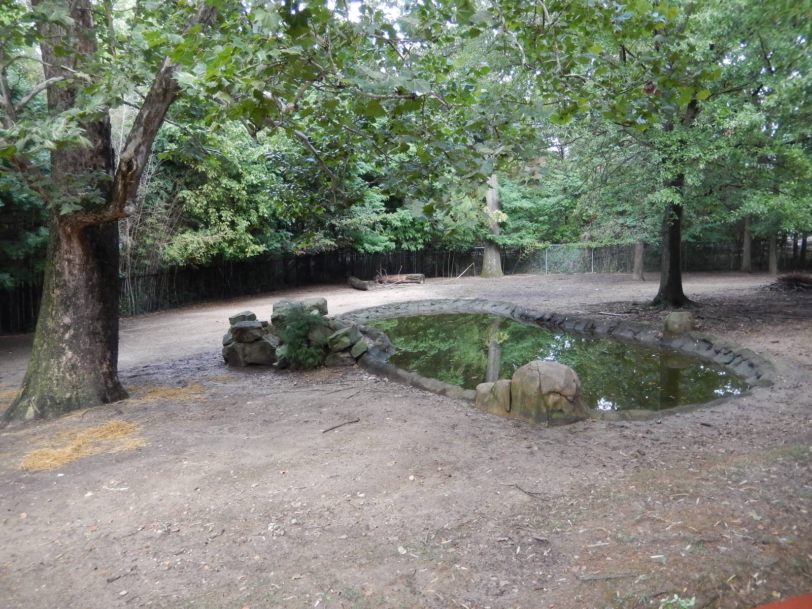 8/14/2016 - Pere David's Deer & White-naped Crane Habitat