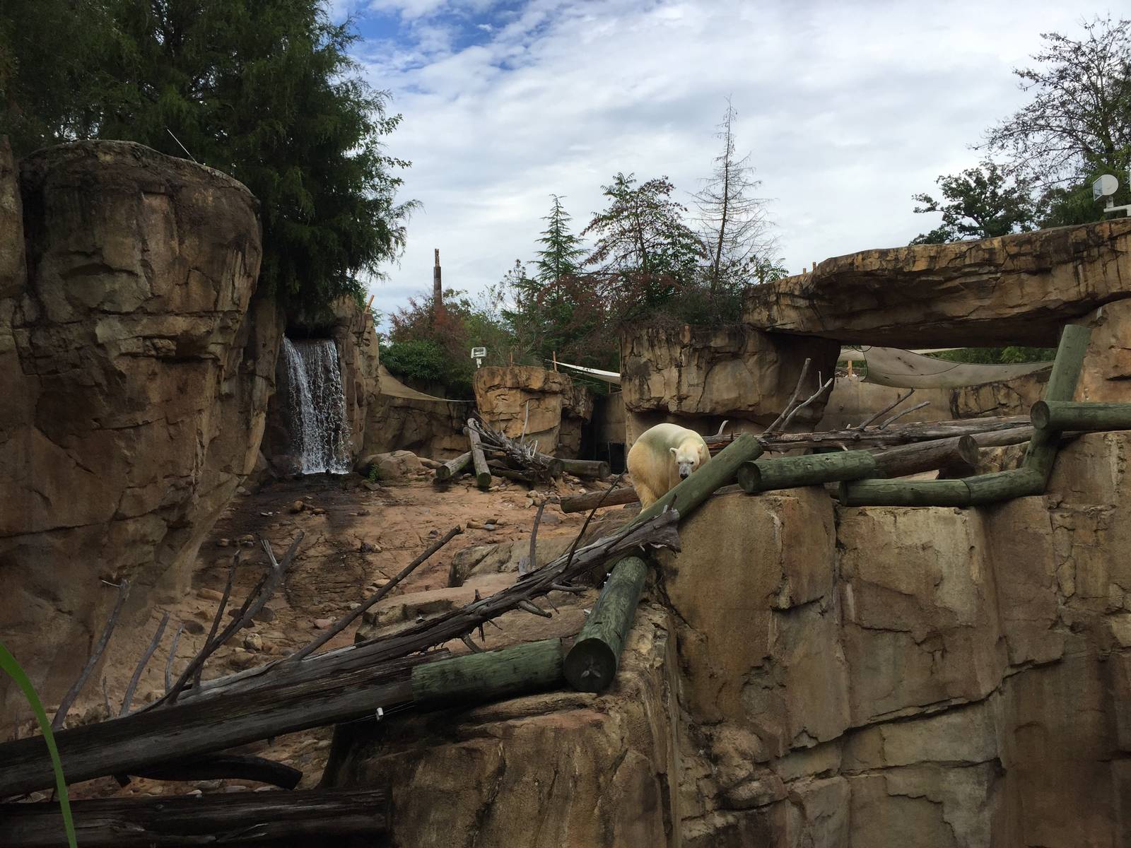 8/14/2016 - Polar Bear Habitat