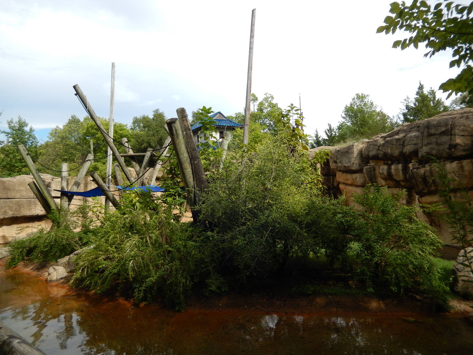 8/14/2016 - Primate Island