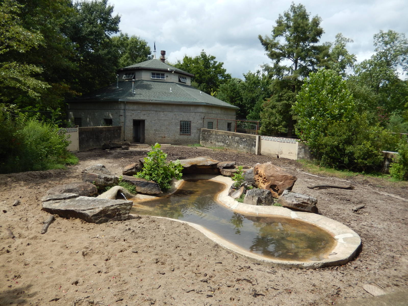 8/14/2016 - Red River Hog Exhibit