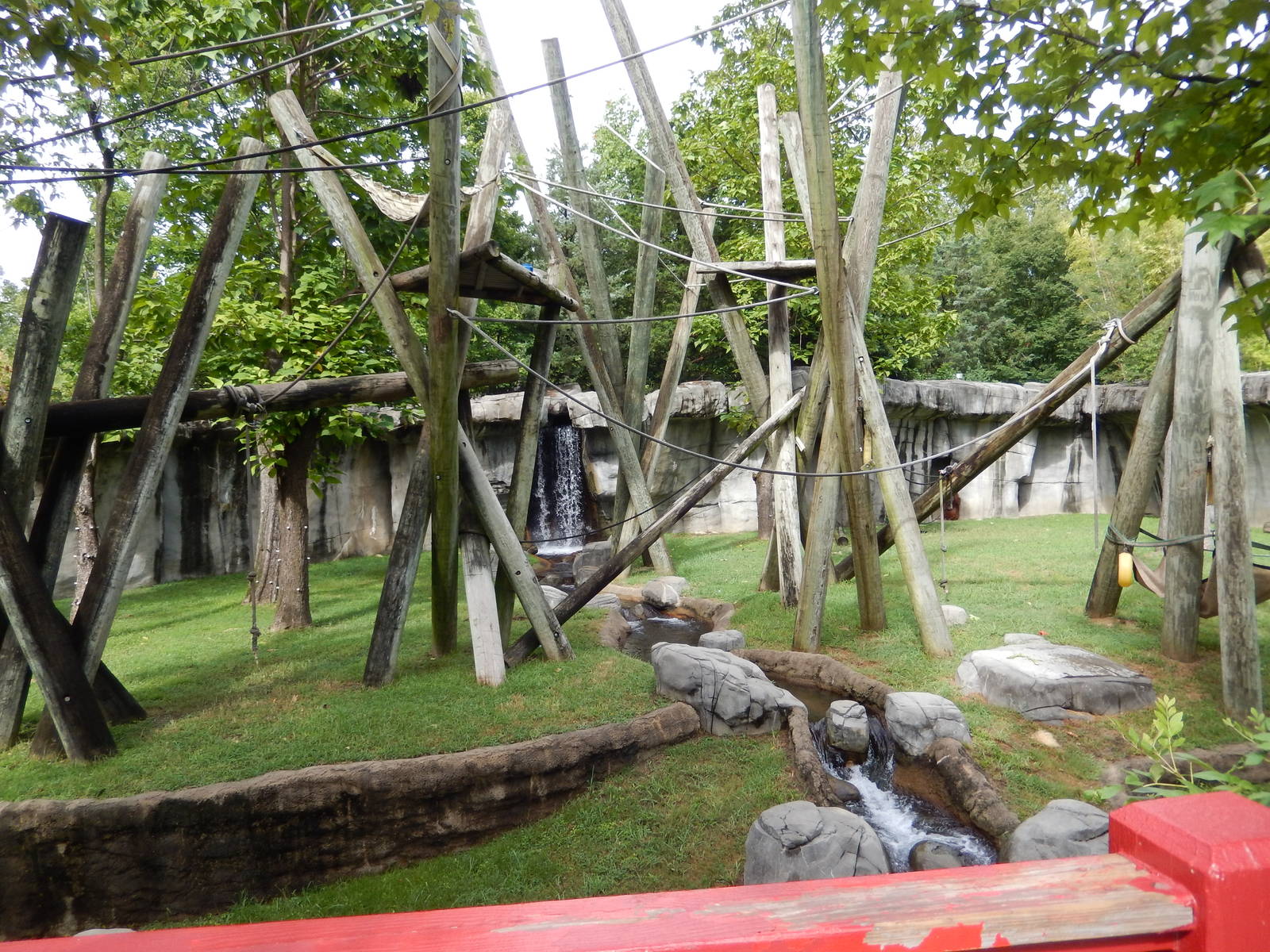 8/14/2016 - Sumatran Orangutan Habitat