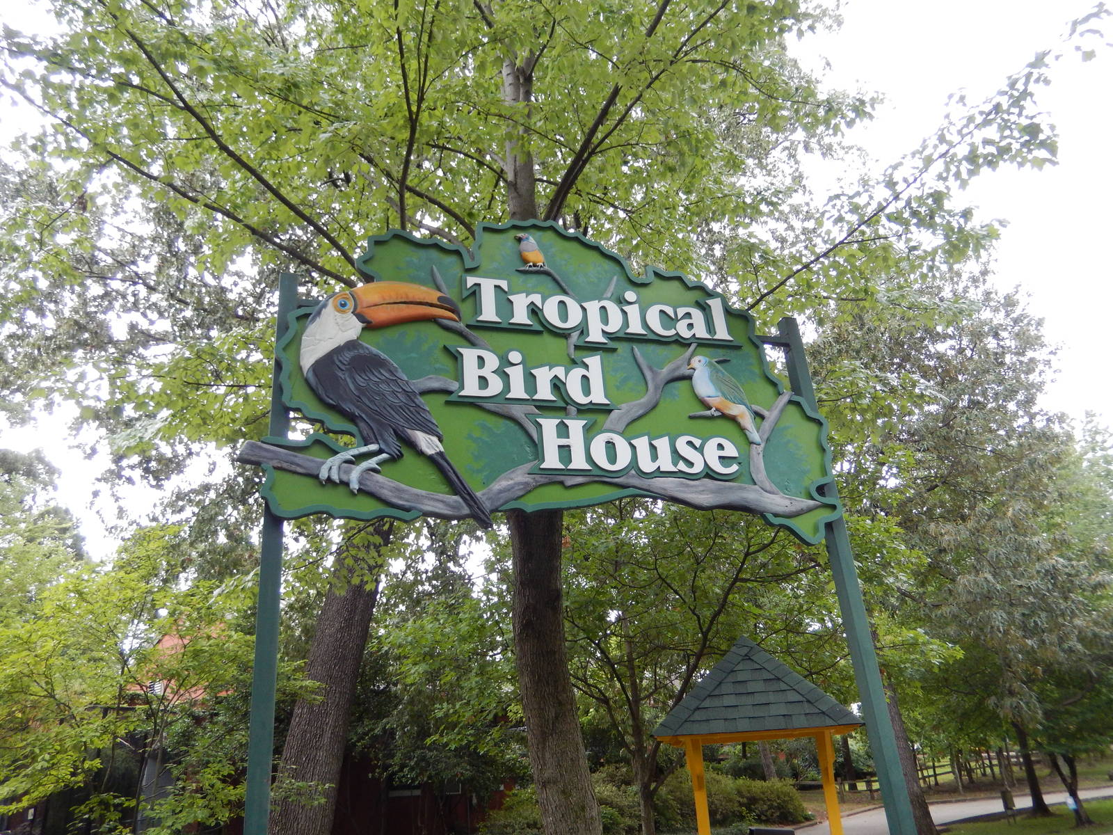 8/14/2016 - Tropical Bird House Sign