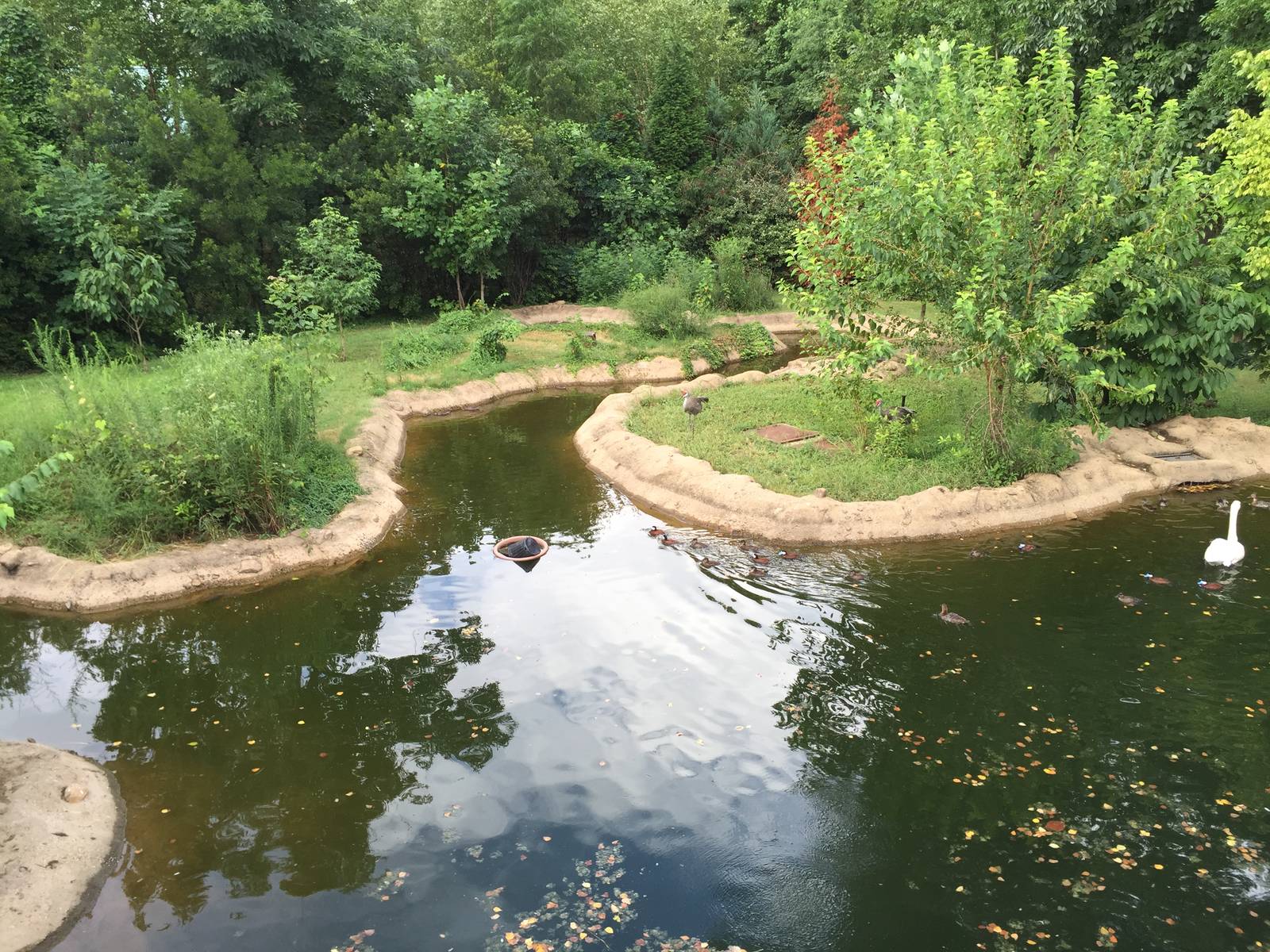 8/14/2016 - Waterfowl Pond