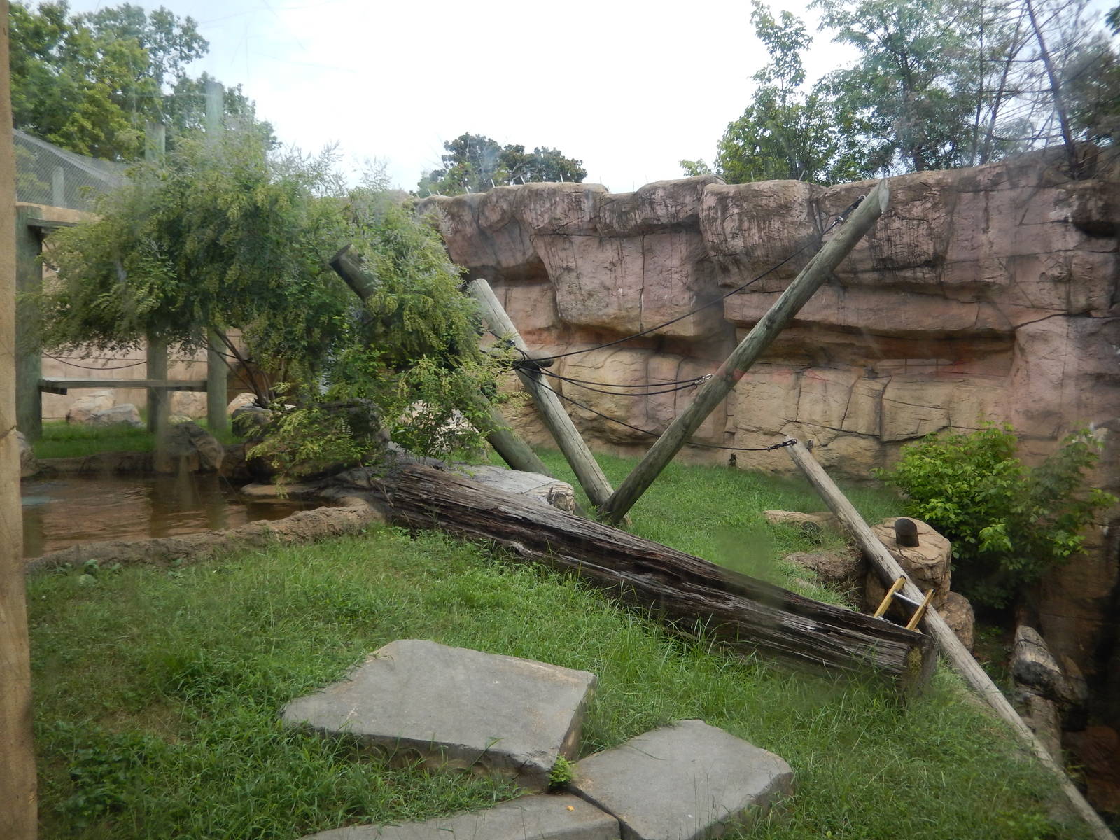 8/14/2016 - White-Cheeked Gibbon Habitat