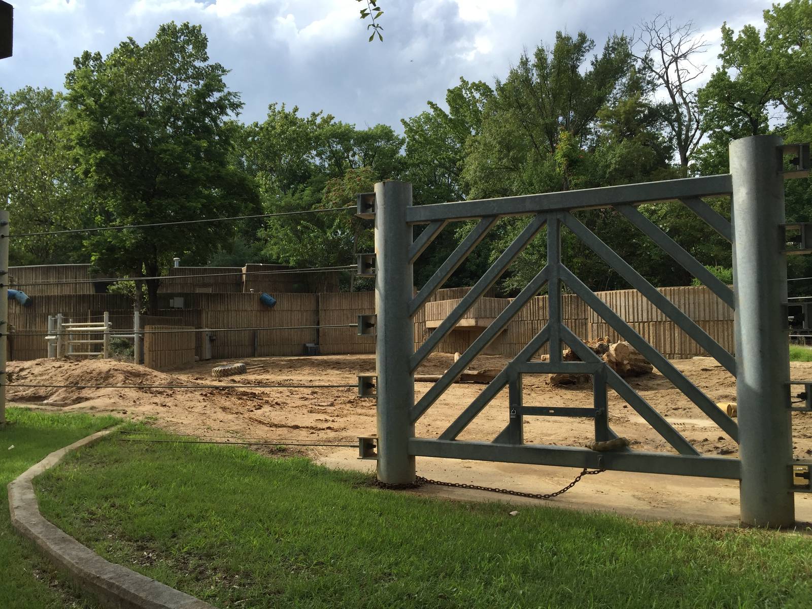 8/14/2016 - White Rhino Paddock