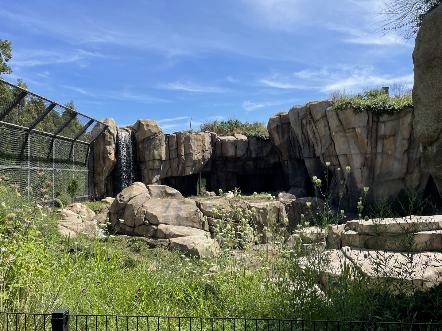 8/14/2021 - Arctic Tundra