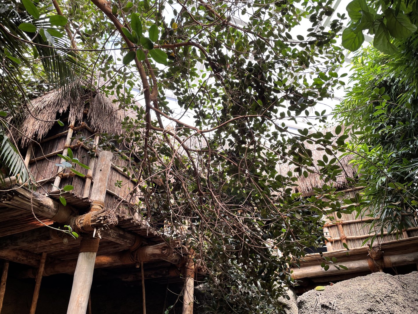 8/14/2021 - Cameroon Huts