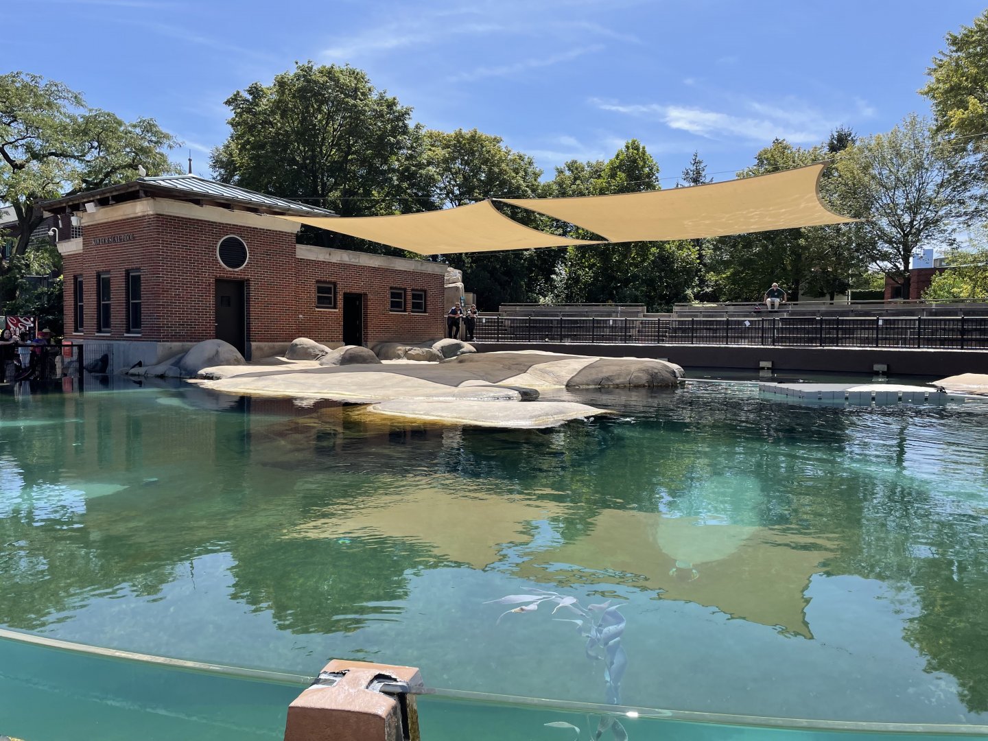 8/14/2021 - Kovler Seal Pool