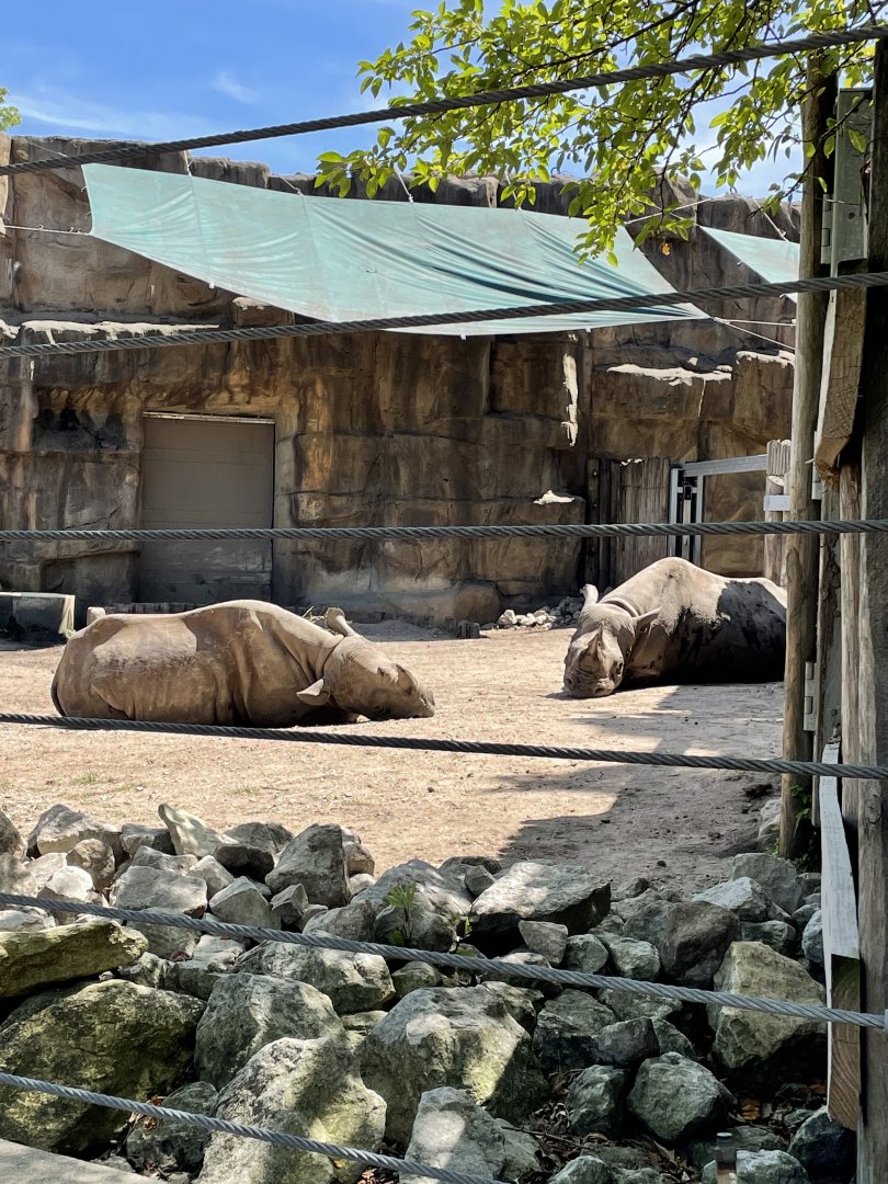 8/14/2021 - Mid-Day Snooze