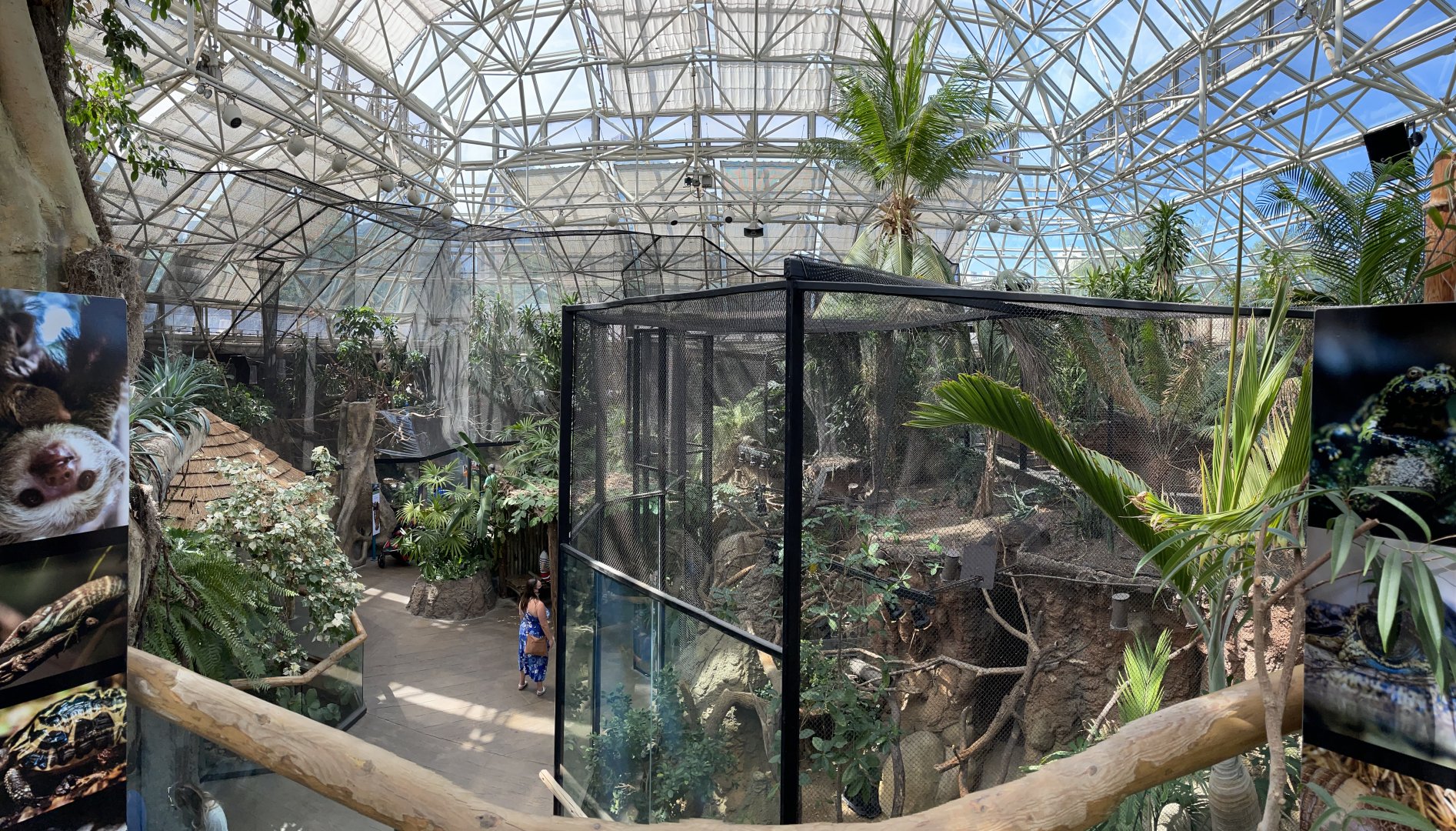 8/14/2021 - Small Mammal & Reptile House Panorama