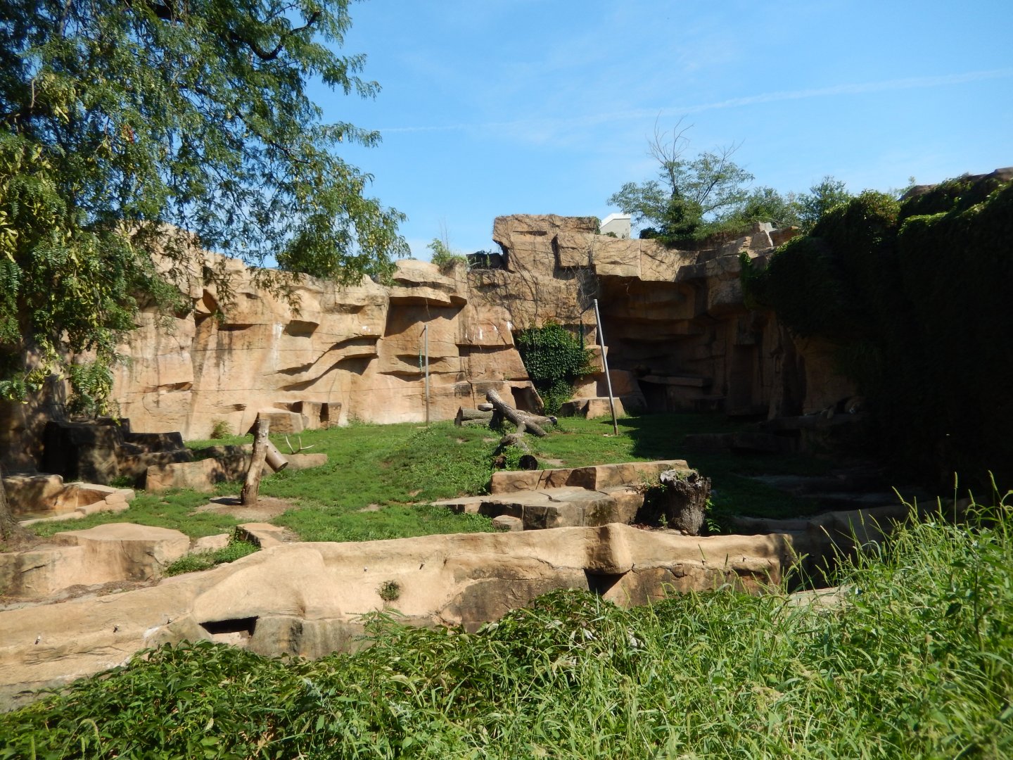 8/16/2025 - African Lion Grotto
