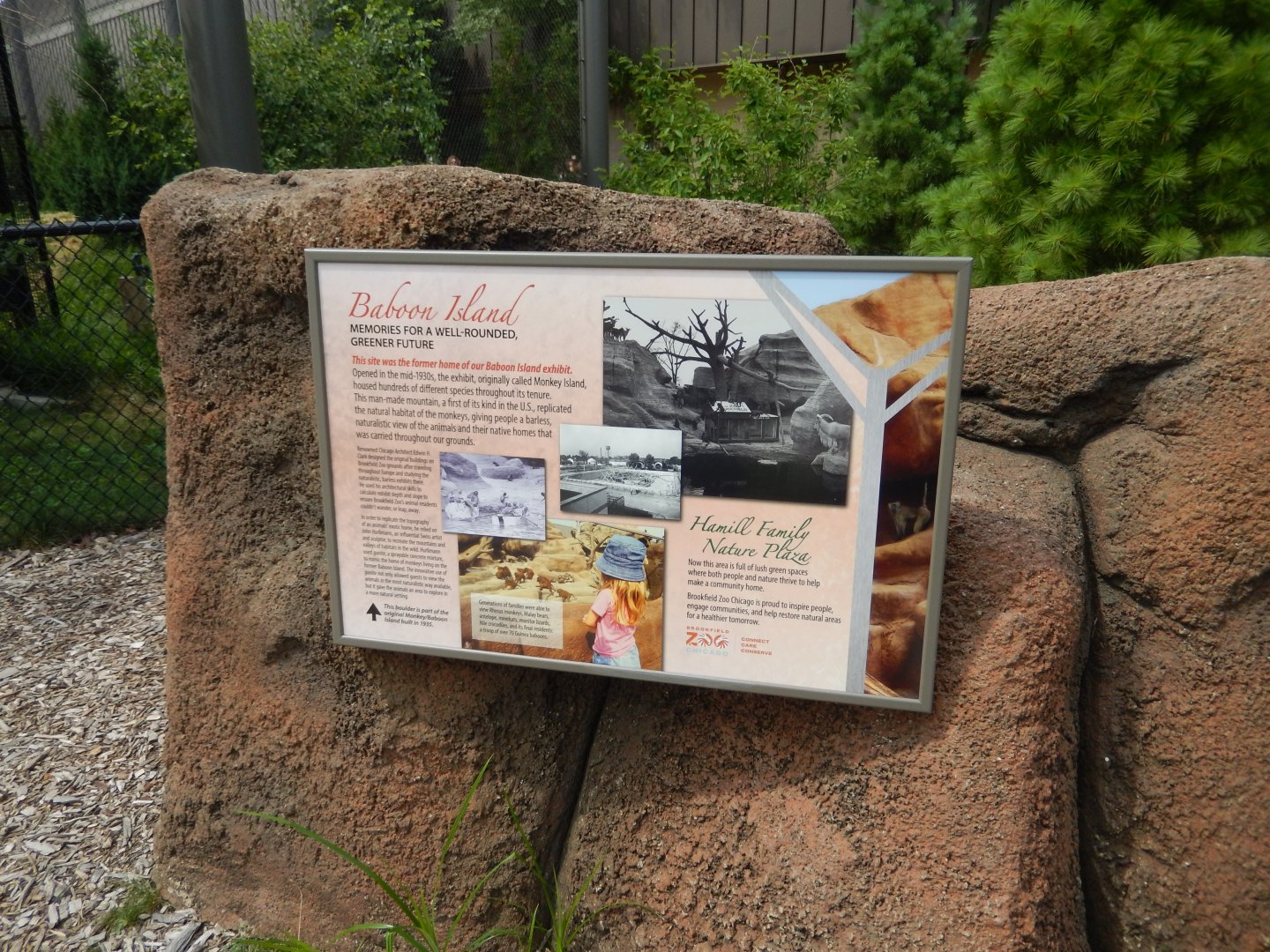 8/16/2025 - Baboon Island Sign & Mock-Rock