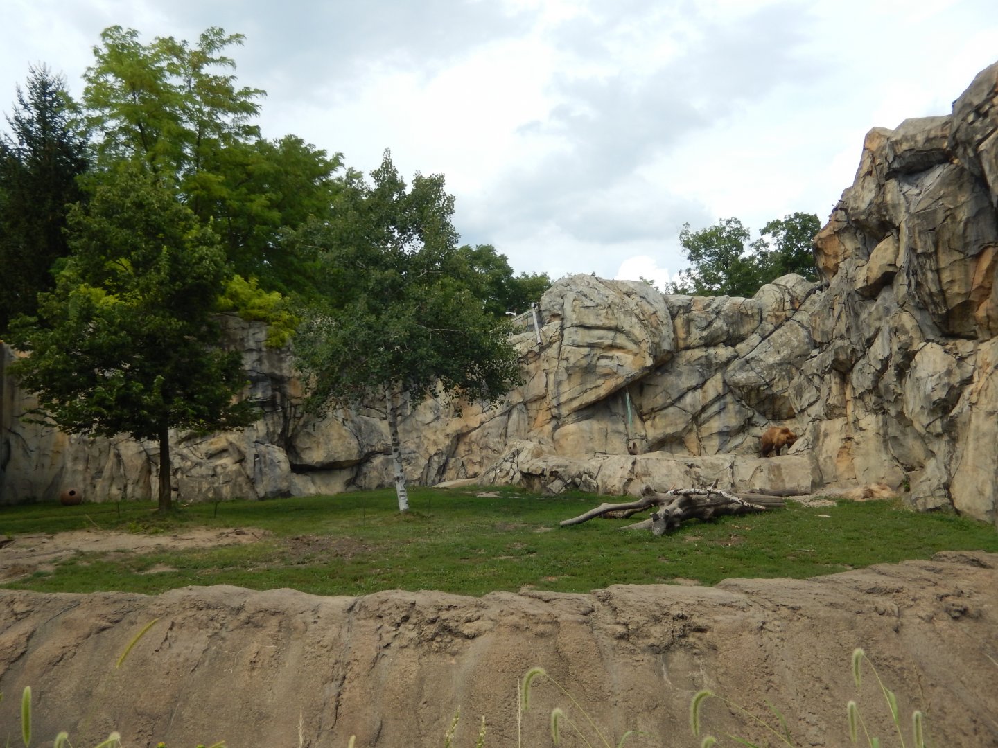 8/16/2025 - Bear Habitat #1