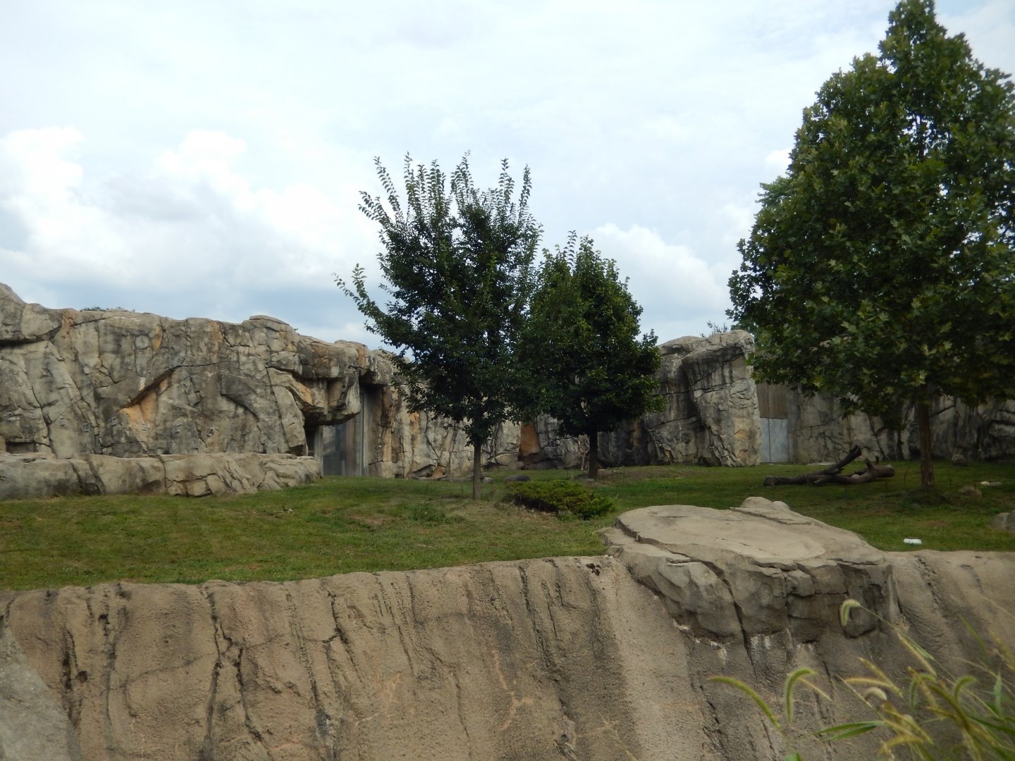 8/16/2025 - Bear Habitat #2