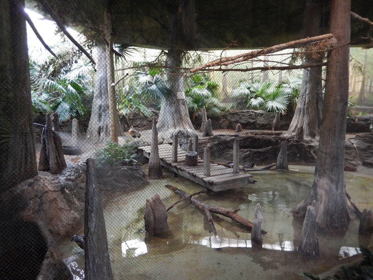 8/16/2025 - Bird Habitat