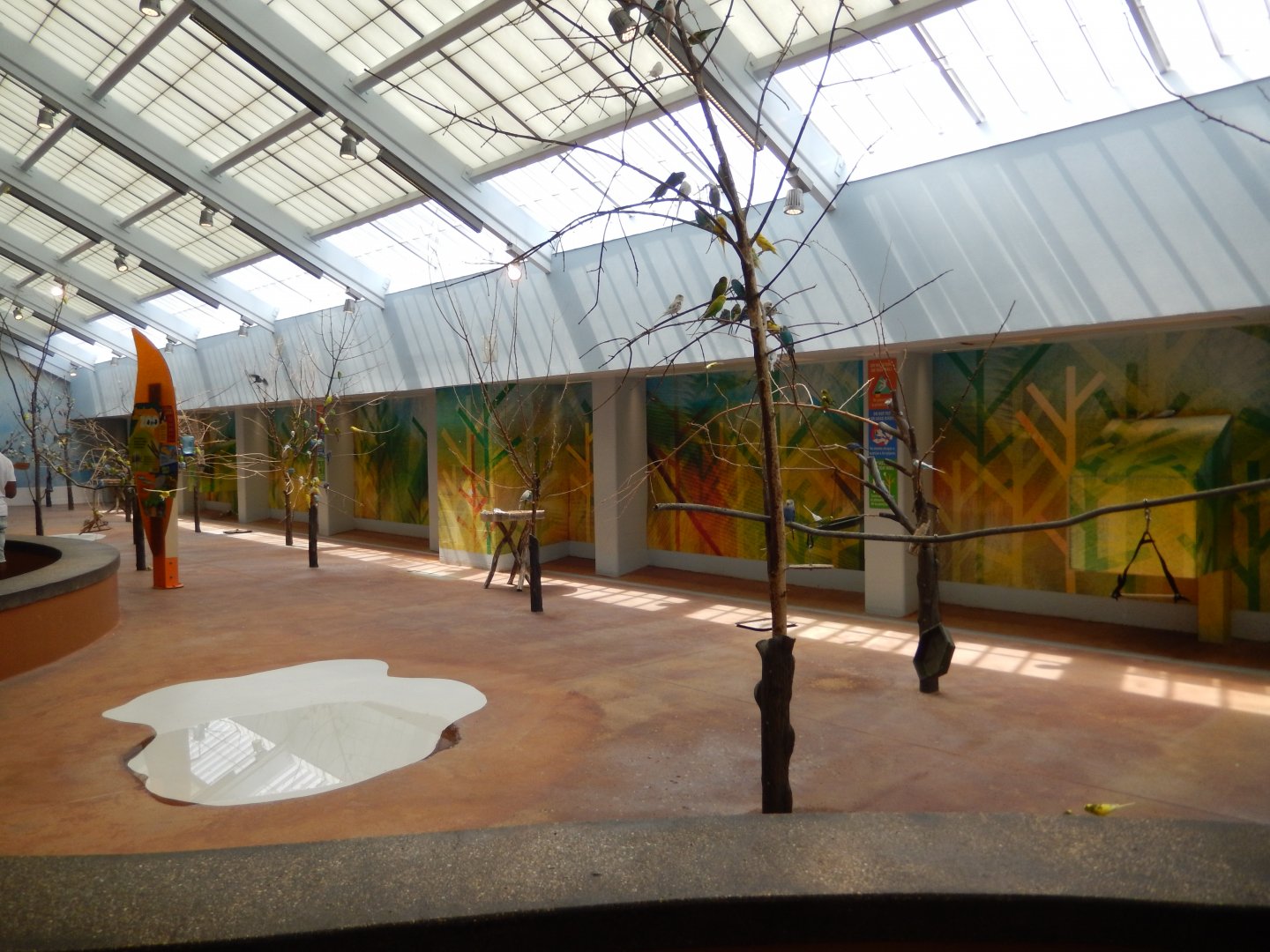 8/16/2025 - Budgie Feeding Aviary