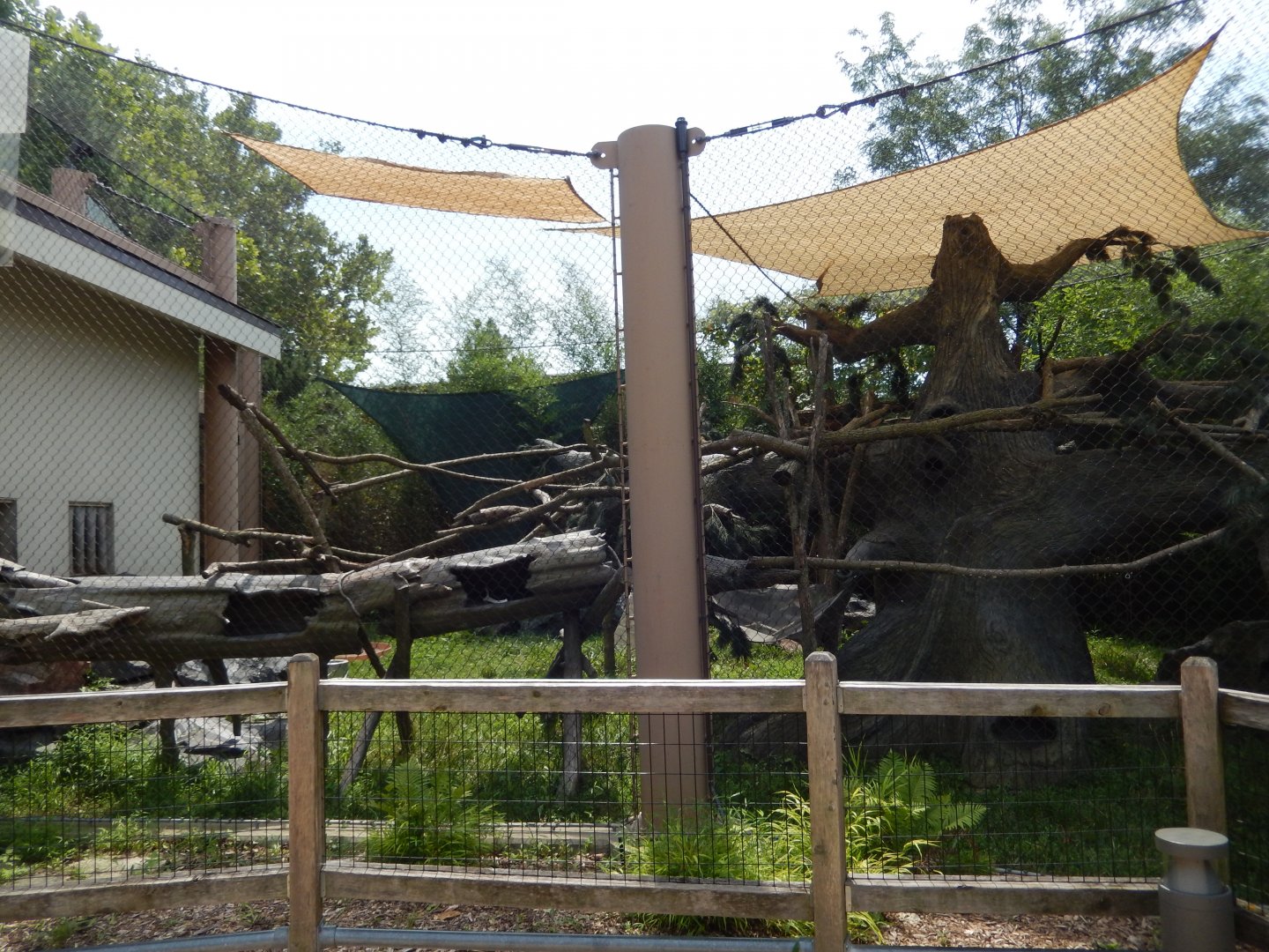 8/16/2025 - Coati Habitat