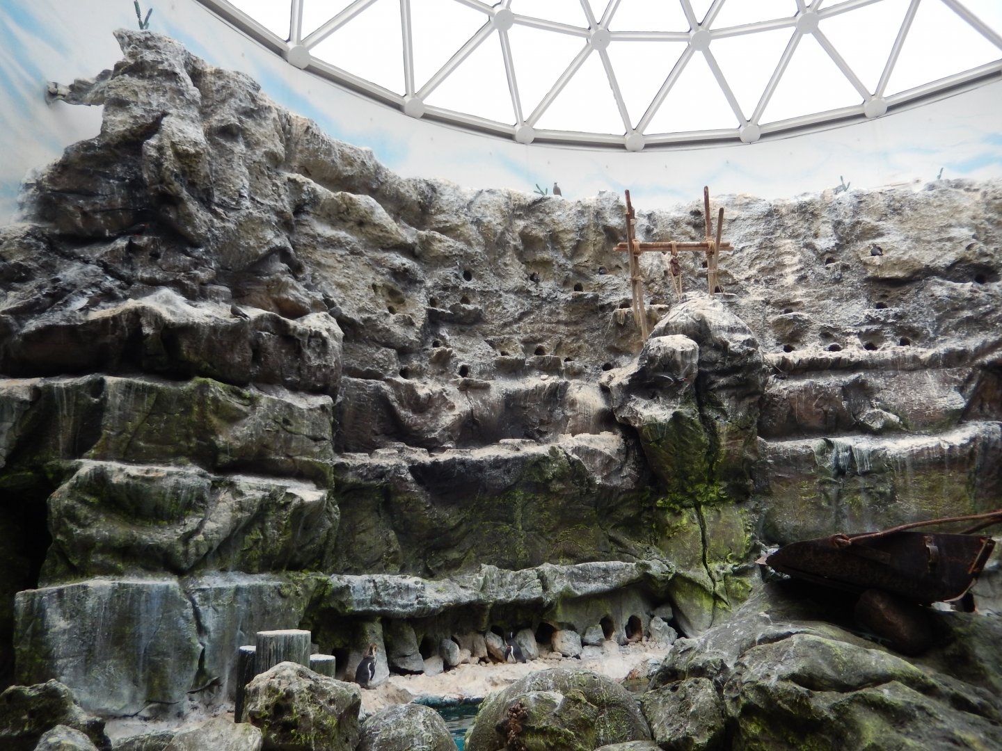 8/16/2025 - Free Flight Aviary