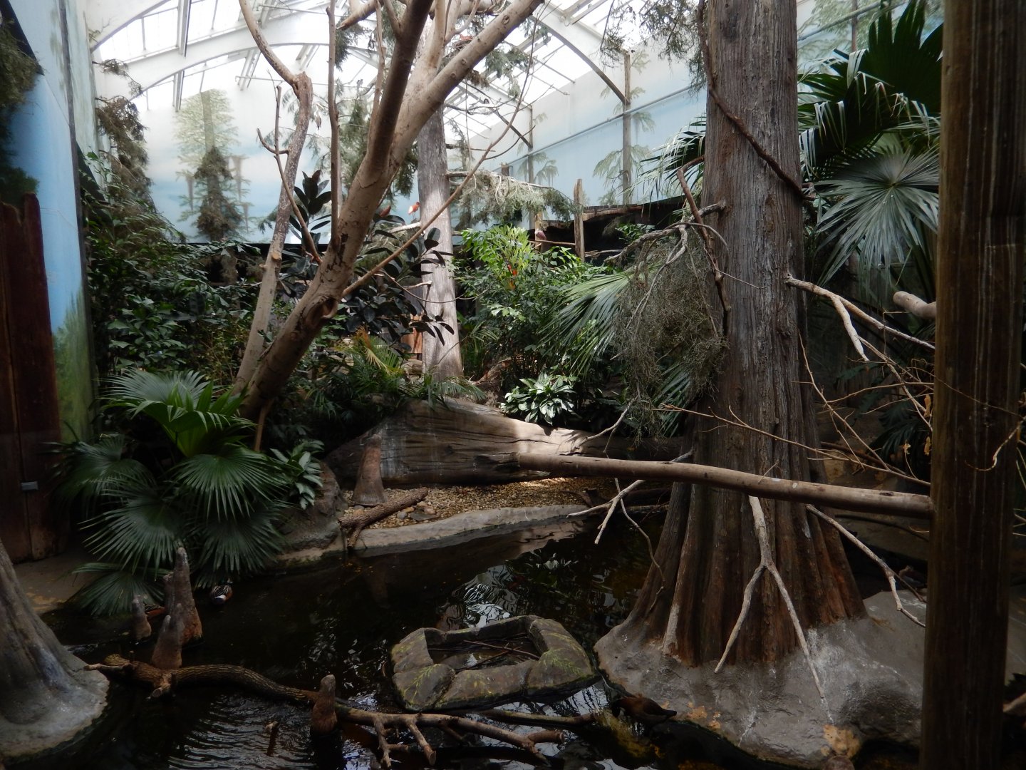 8/16/2025 - Free Flight Swamp Aviary (Back View)