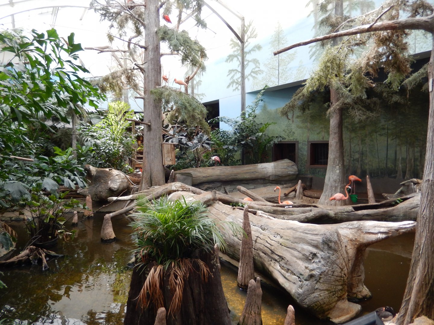 8/16/2025 - Free Flight Swamp Aviary (Front View)