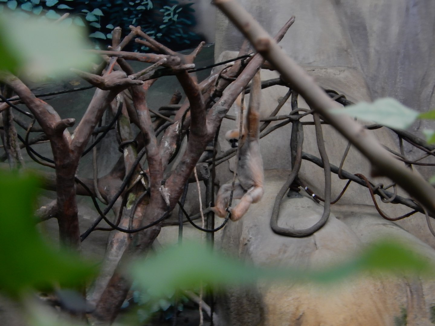 8/16/2025 - Just Swingin' By...