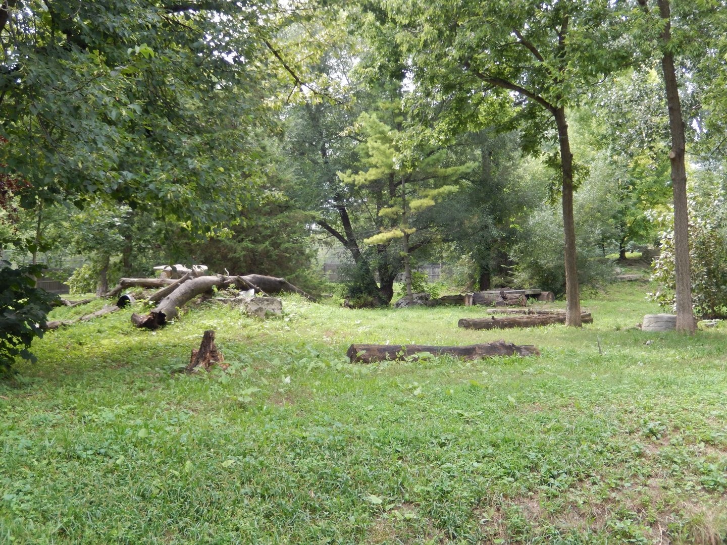 8/16/2025 - Regenstein Wolf Woods