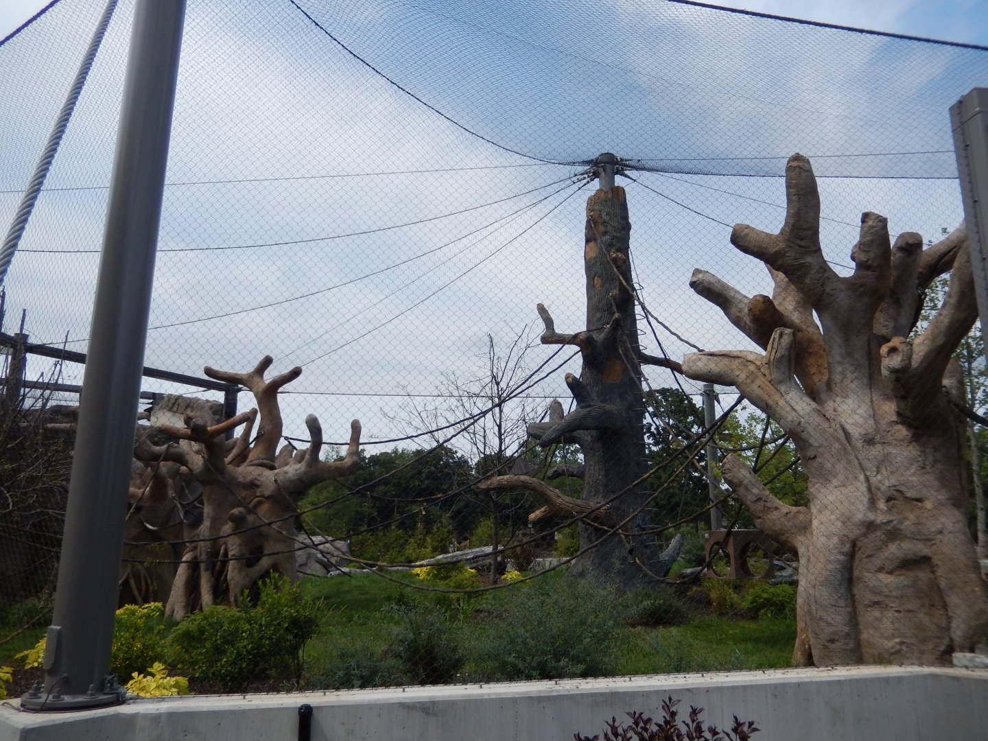 8/16/2025 - South American Monkey Habitat