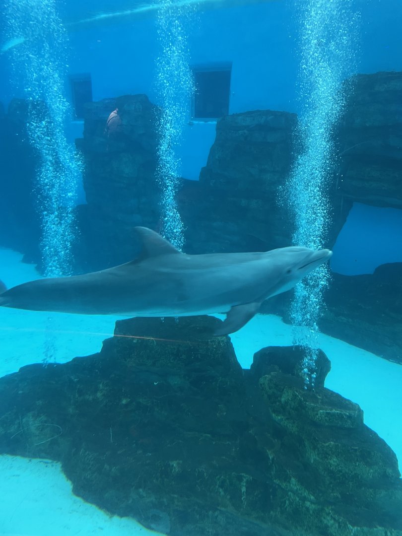 8/16/2025 - Streamin’ Through Bubbles