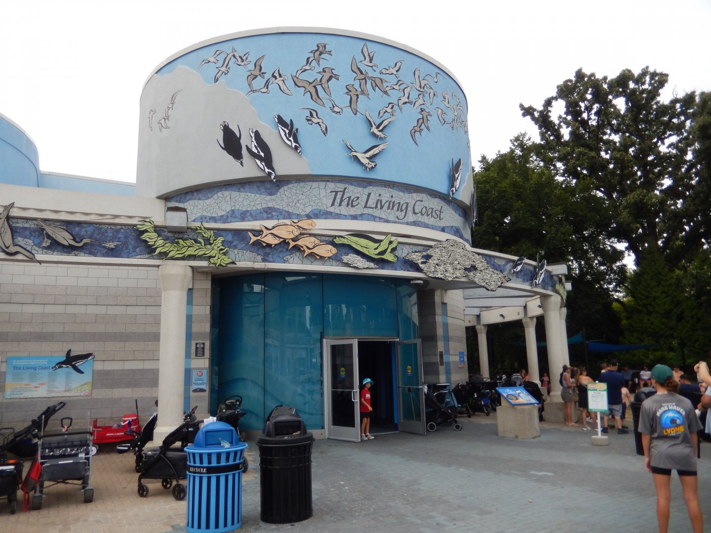 8/16/2025 - The Living Coast