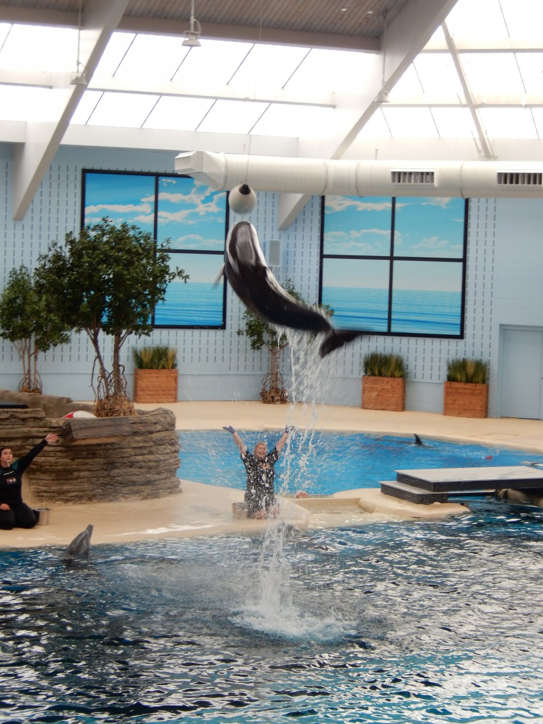 8/16/2025 - You Gotta Jump!