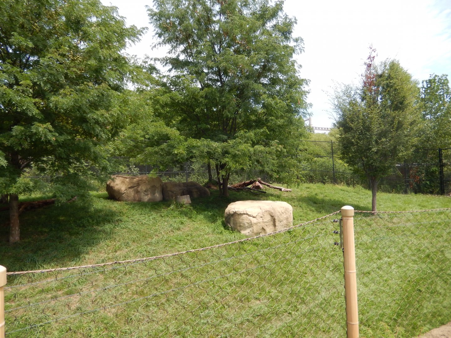 8/17/2020 - Cheetah: The Race for Survival - Second Habitat