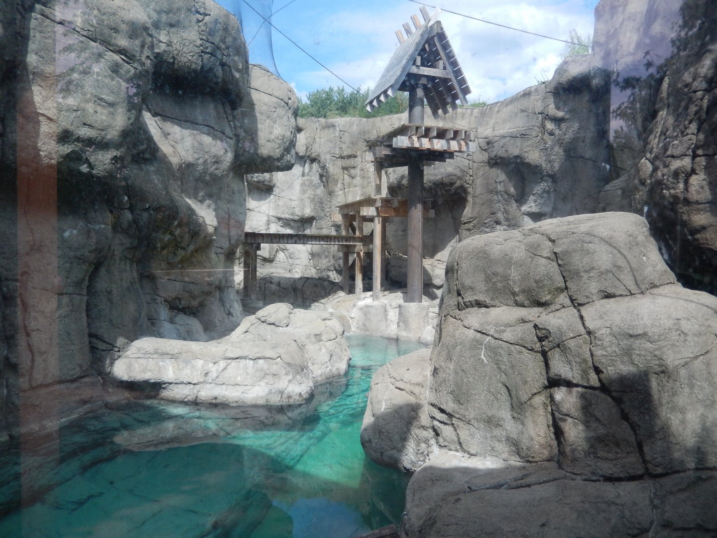 8/17/2020 - Crab-Eating Macaque Habitat - Pool View