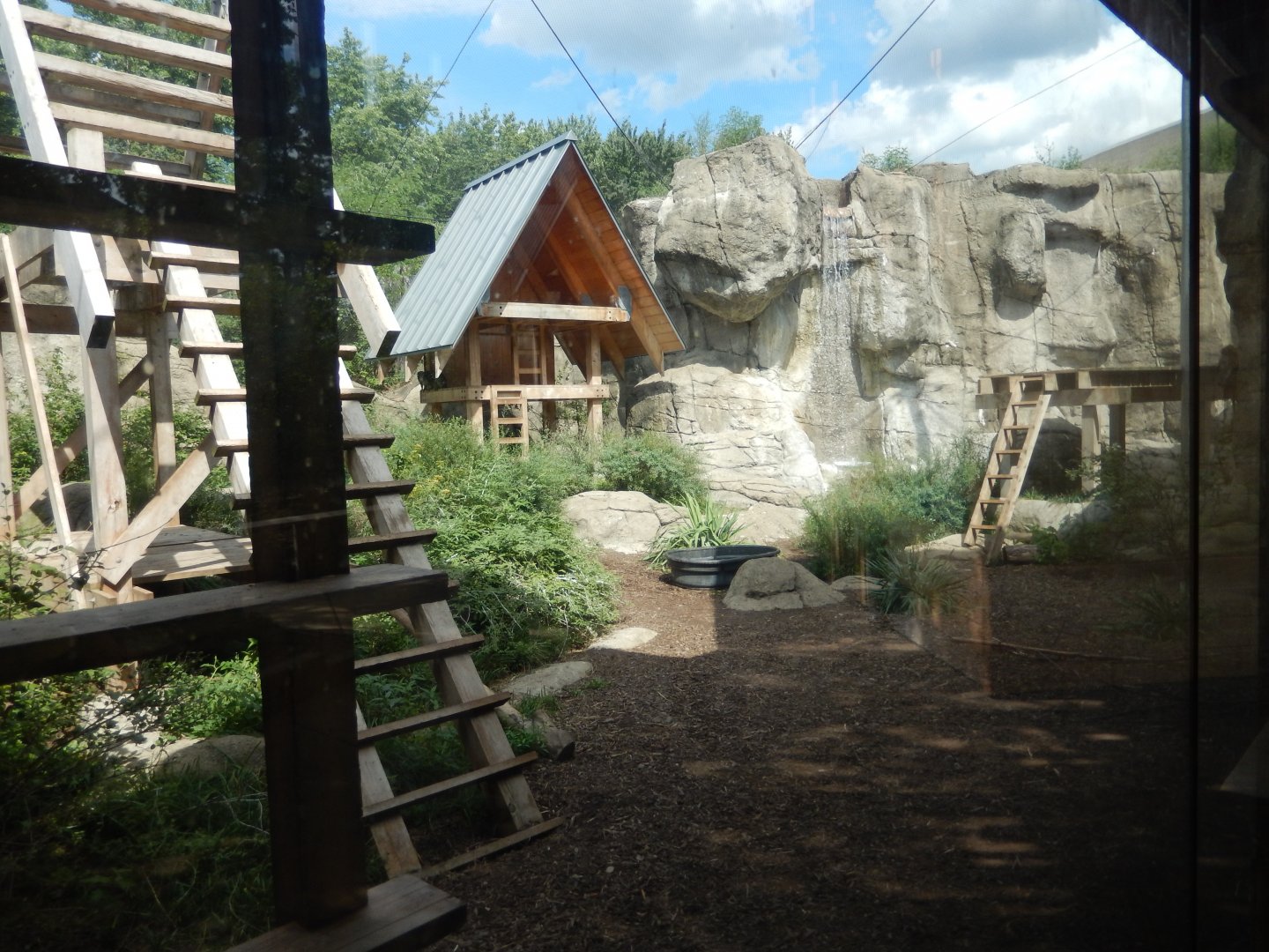 8/17/2020 - Crab-Eating Macaque Habitat