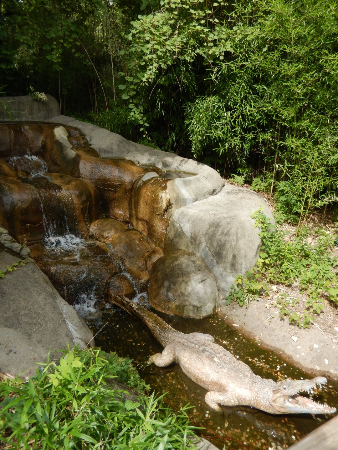 8/17/2020 - Croc Waterfall & Fountain