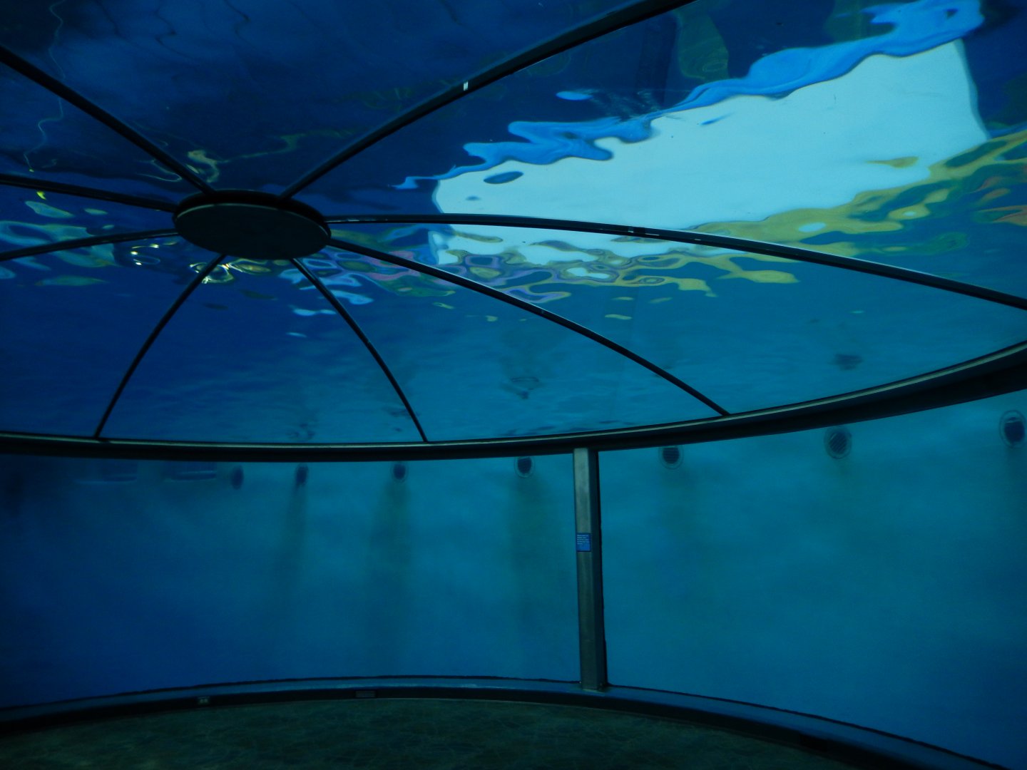 8/17/2020 - Dolphin Adventure Dome