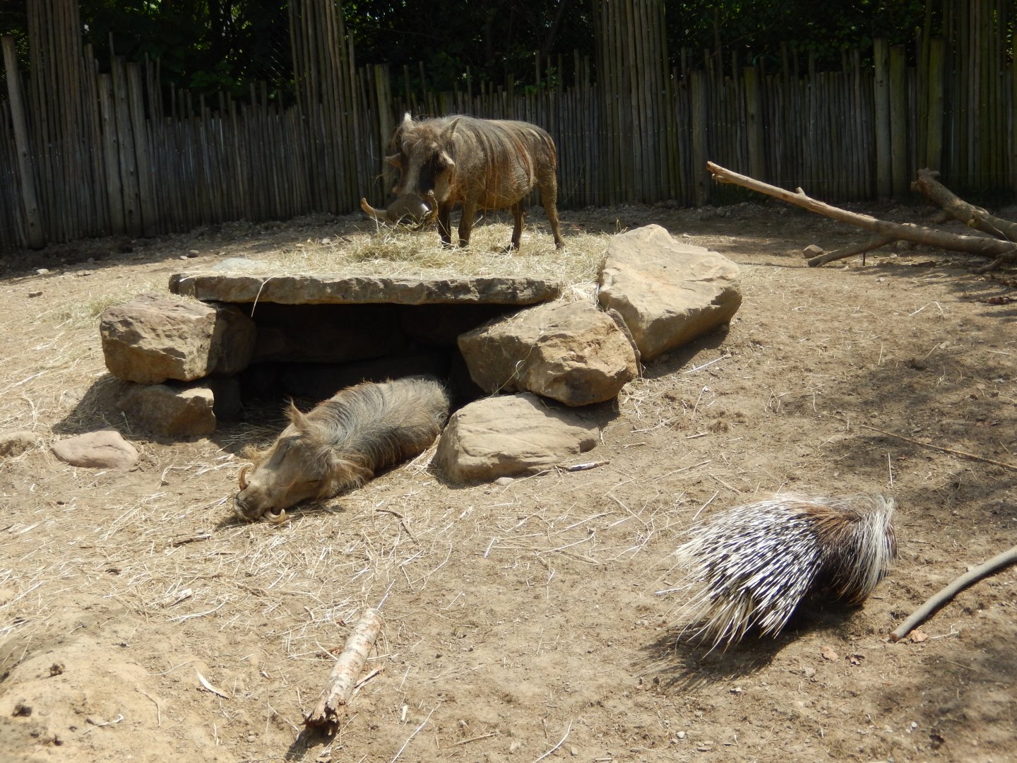 8/17/2020 - Exhibit Mates