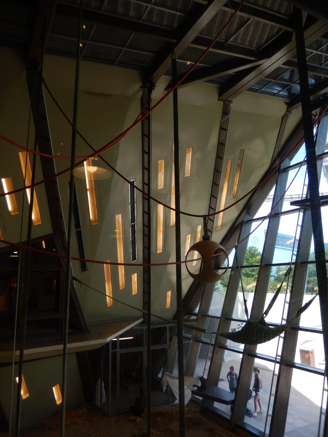 8/17/2020 - Indoor Orangutan Exhibit