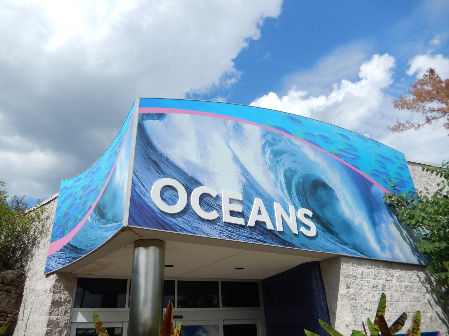 8/17/2020 - Oceans Building