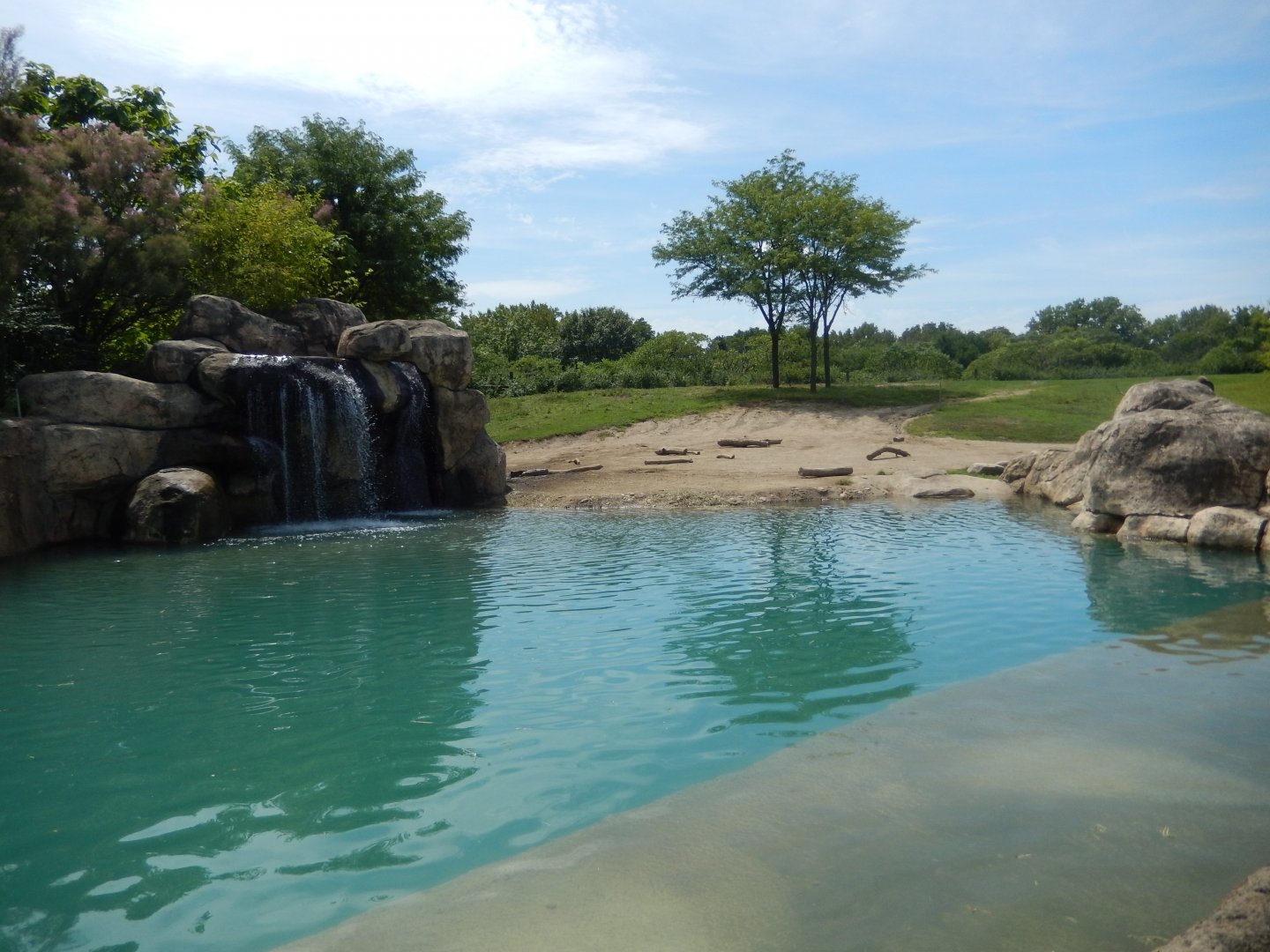 8/17/2020 - Primary African Elephant Habitat - Beautiful Pool
